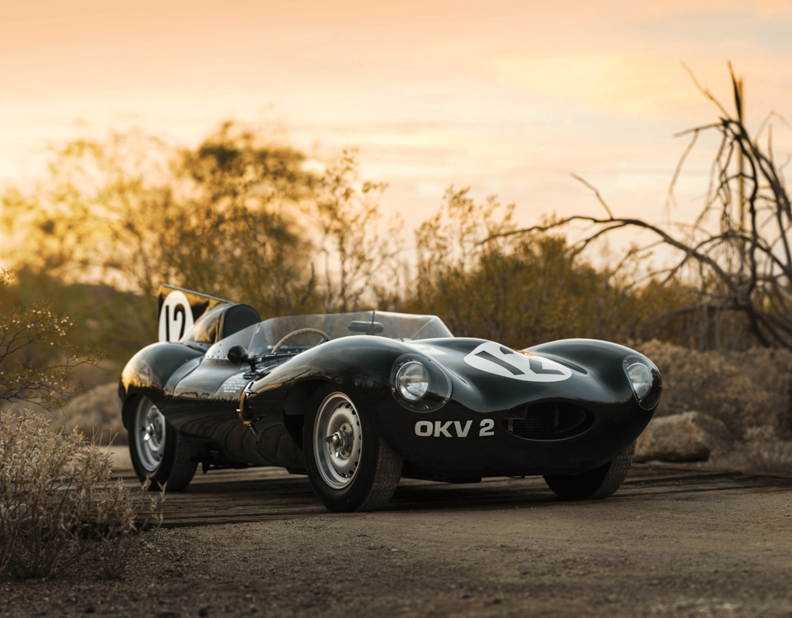 This 1954 Jaguar D-Type Race Car Will Have Collectors in a Frenzy – Robb  Report