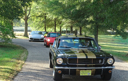 Vintage Cars at the Mountain Mille, including 1966 Shelby GT350 And Group Lease a Shelby with #pfs_leasing