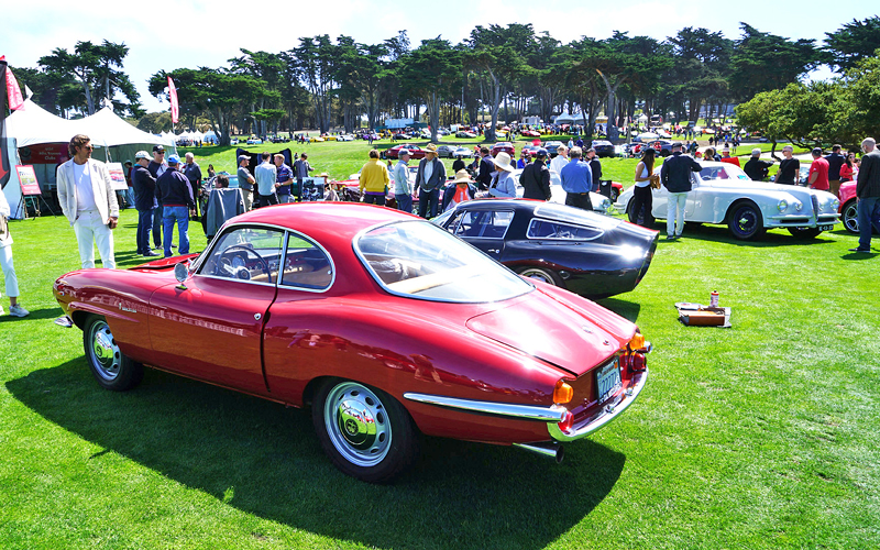 Group of Alfa Romeos at Concorso Italiano